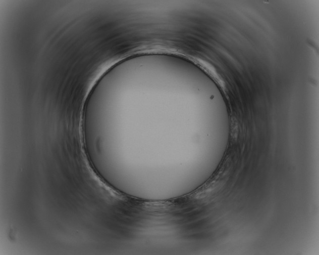 X0000093150863200709261015