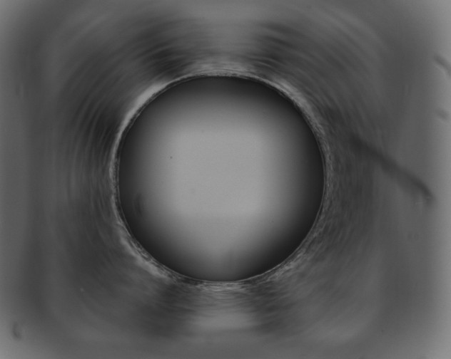 X0000093150864200709261015