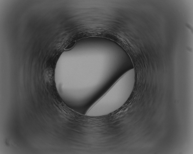 X0000093150867200709261014