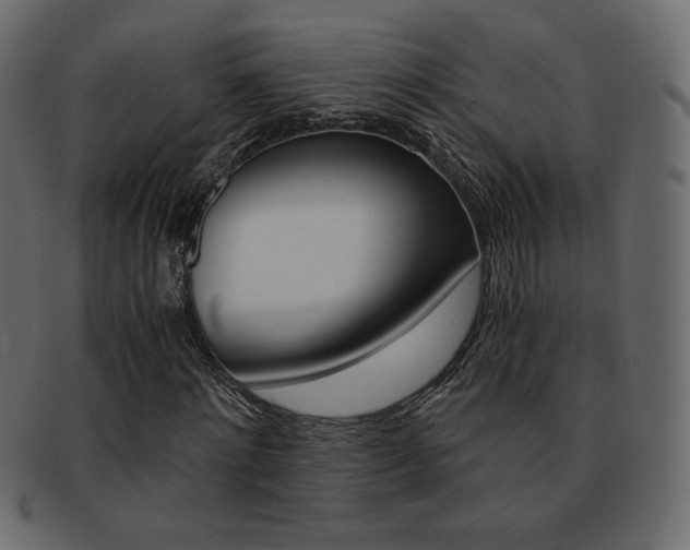 X0000093150868200709261014