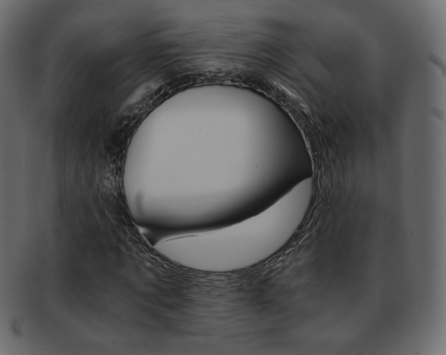 X0000093150869200709261014