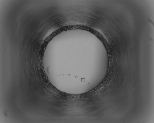 X0000093150871200709261014
