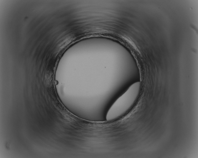 X0000093150873200709261014