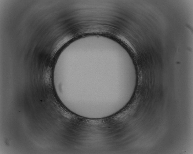 X0000093150874200709261014