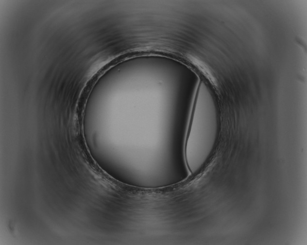 X0000093150876200709261014
