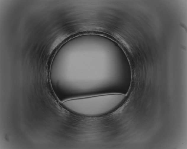 X0000093150877200709261014