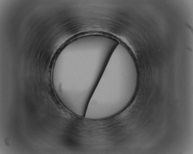 X0000093150879200709261014