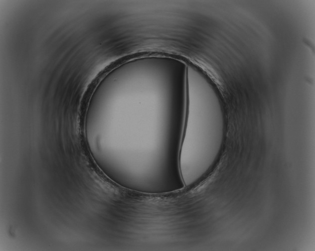X0000093150880200709261014