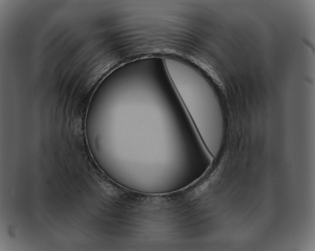 X0000093150881200709261014