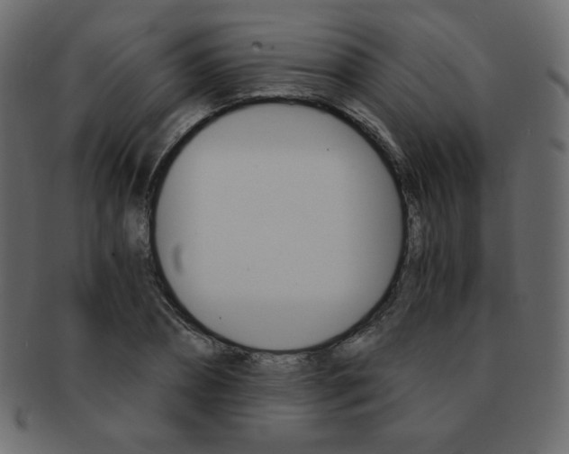 X0000093150882200709261014