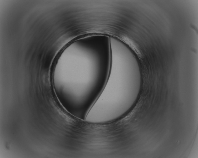 X0000093150884200709261014