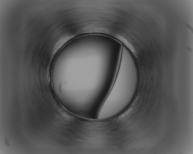 X0000093150885200709261014