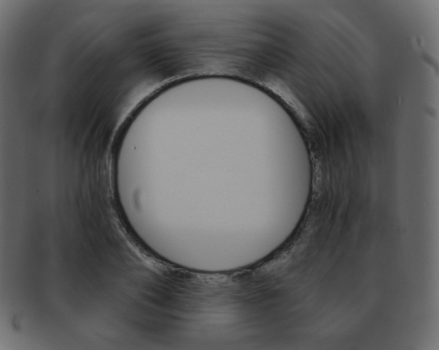 X0000093150886200709261014
