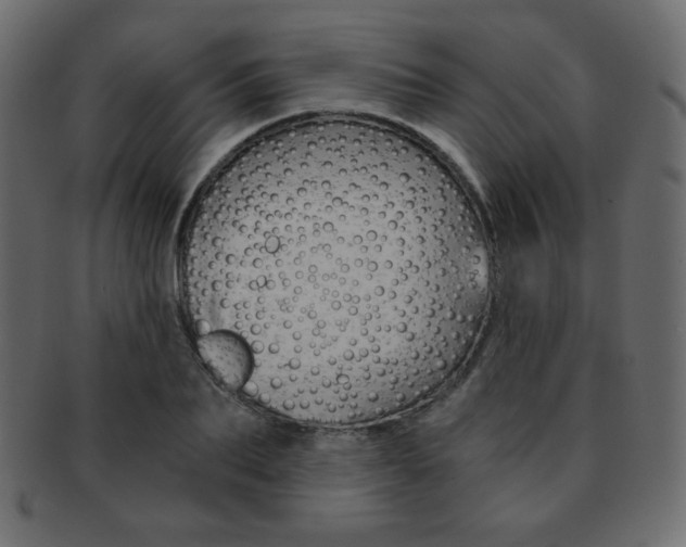 X0000093150887200709261014