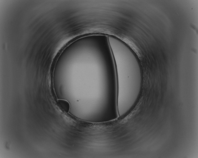 X0000093150888200709261014