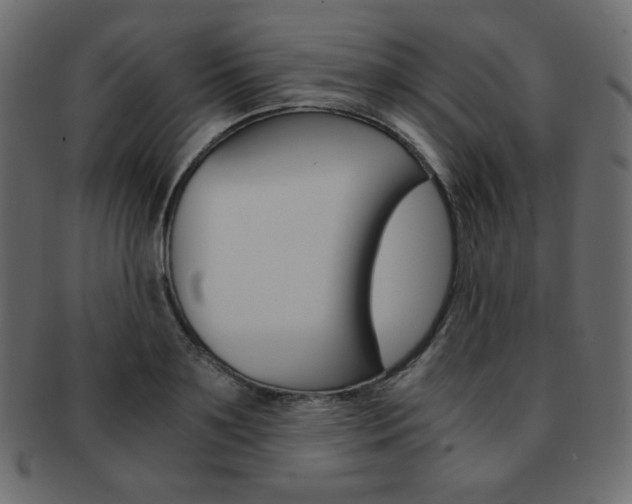 X0000093150891200709261014