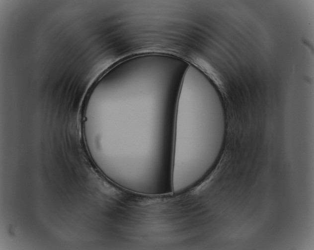 X0000093150892200709261014