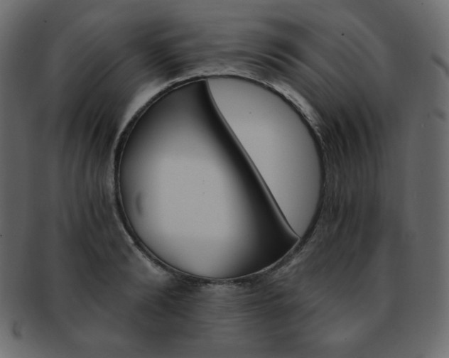 X0000093150894200709261014