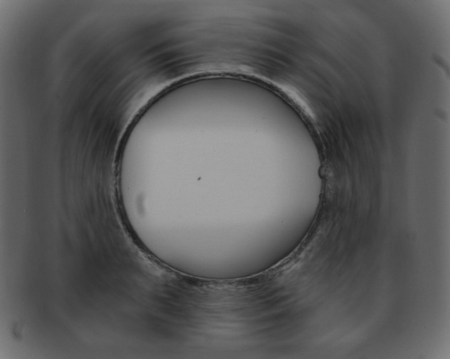 X0000093150895200709261014
