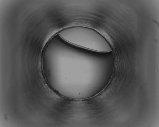 X0000093150896200709261014