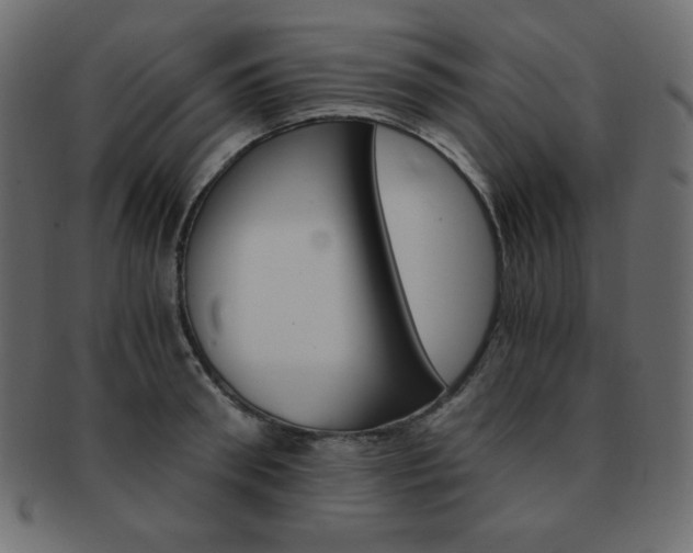 X0000093150898200709261014