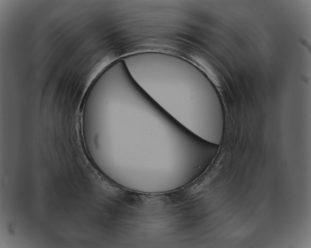 X0000093150899200709261014