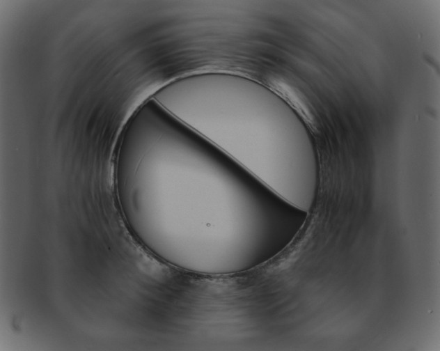 X0000093150900200709261014