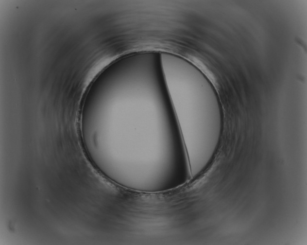 X0000093150901200709261014