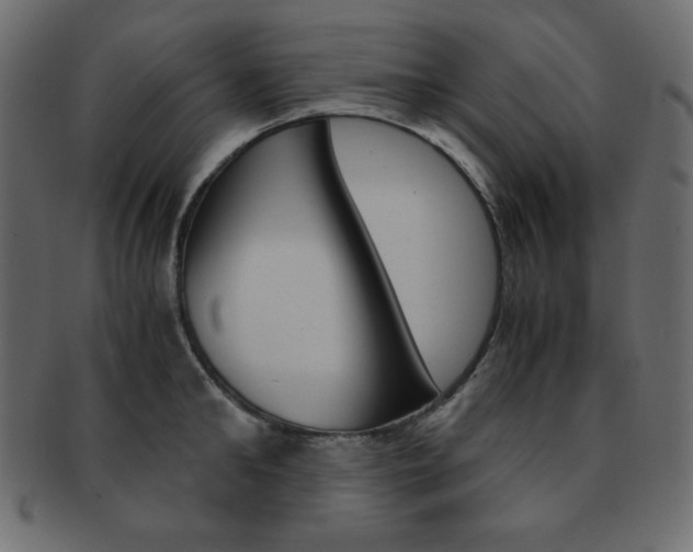 X0000093150902200709261014