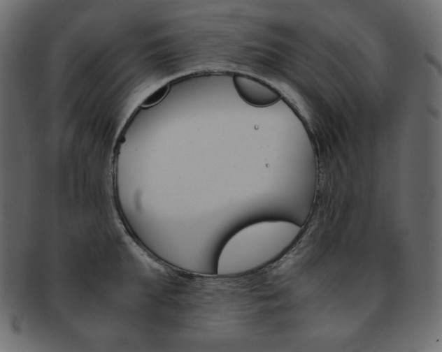 X0000093150903200709261014