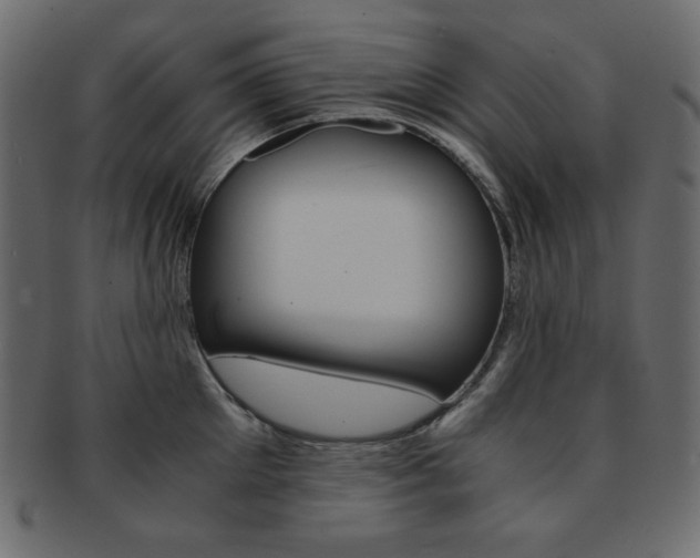 X0000093150905200709261014