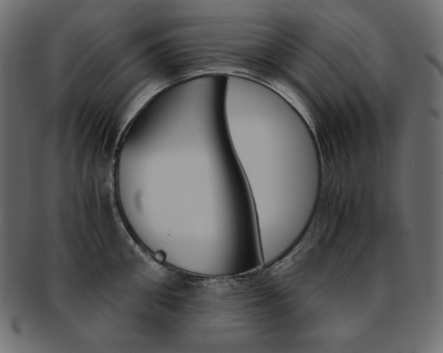 X0000093150906200709261014