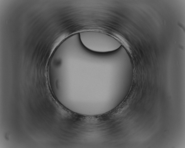 X0000093150907200709261014