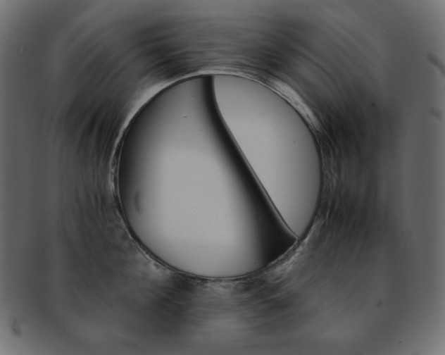 X0000093150908200709261014