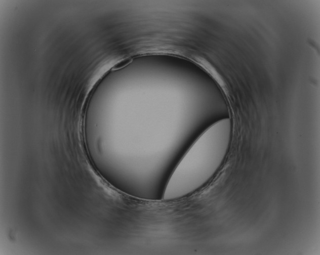 X0000093150909200709261014