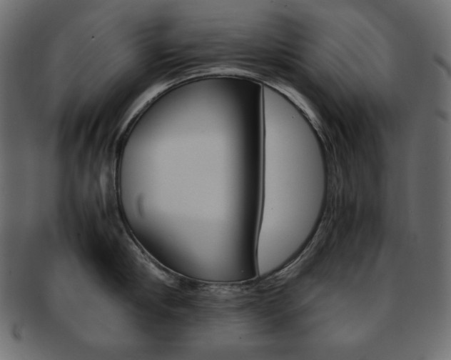 X0000093150910200709261014