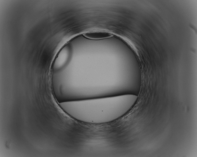 X0000093150911200709261014