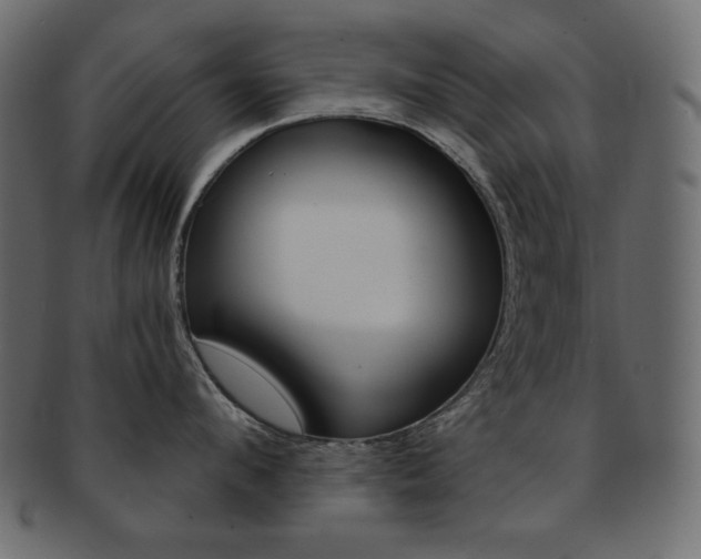 X0000093150912200709261014