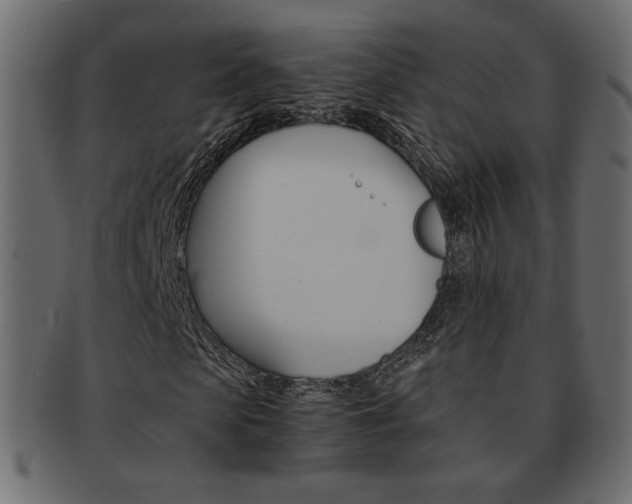 X0000093150913200709261013