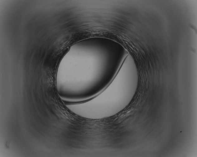 X0000093150916200709261013