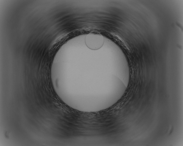 X0000093150919200709261013