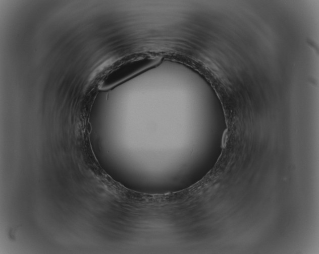 X0000093150920200709261013