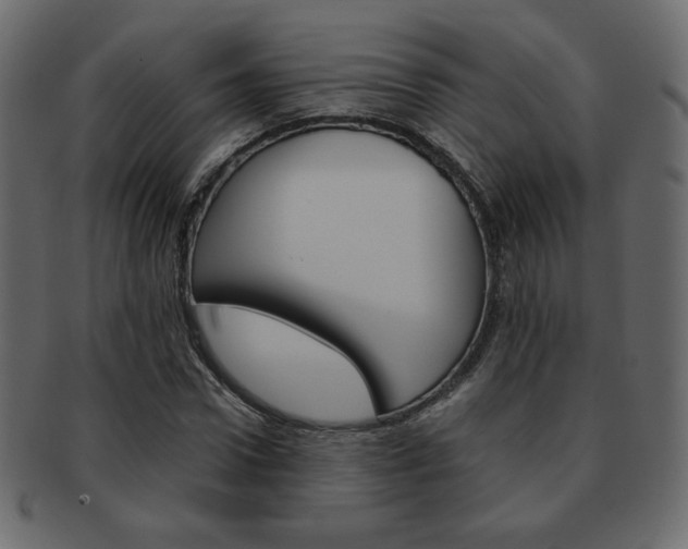 X0000093150922200709261013