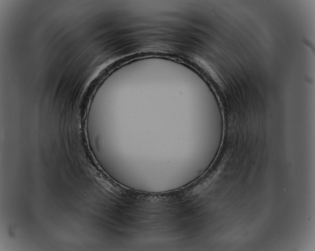 X0000093150923200709261013