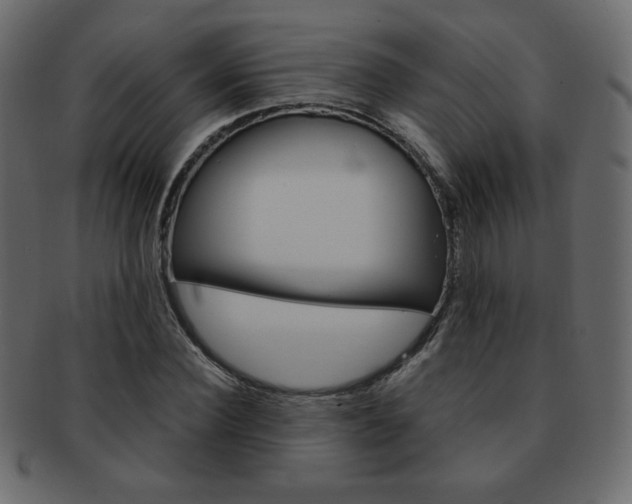 X0000093150924200709261013