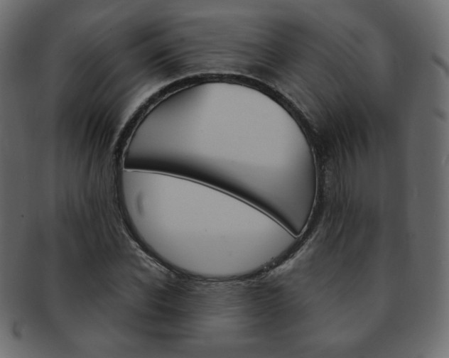 X0000093150926200709261013