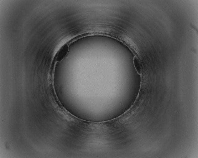 X0000093150928200709261013