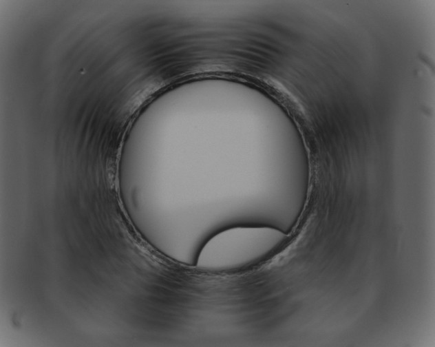 X0000093150929200709261013