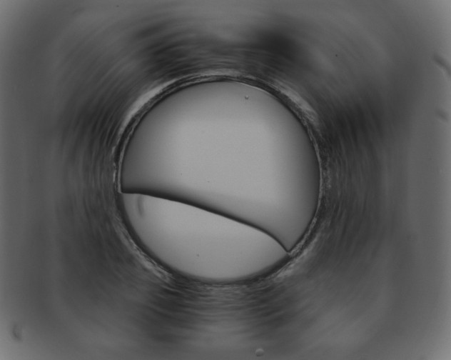 X0000093150933200709261013
