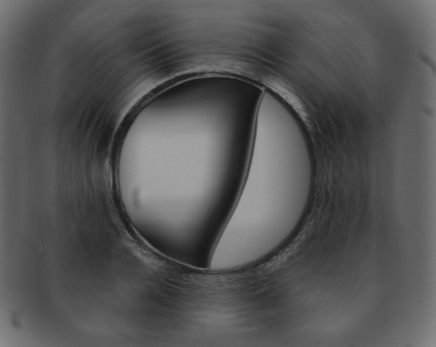 X0000093150936200709261013